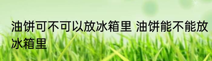 油饼可不可以放冰箱里 油饼能不能放冰箱里