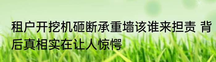 租户开挖机砸断承重墙该谁来担责 背后真相实在让人惊愕