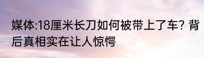 媒体:18厘米长刀如何被带上了车? 背后真相实在让人惊愕