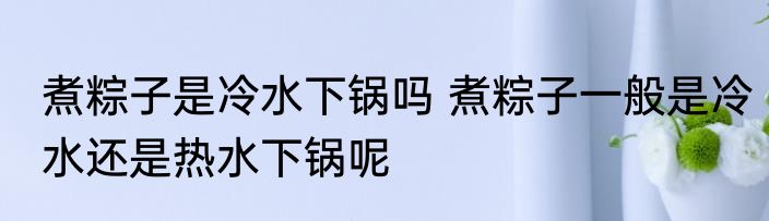 煮粽子是冷水下锅吗 煮粽子一般是冷水还是热水下锅呢