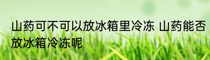 山药可不可以放冰箱里冷冻 山药能否放冰箱冷冻呢