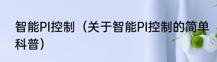 智能PI控制（关于智能PI控制的简单科普）