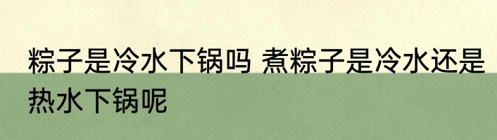 粽子是冷水下锅吗 煮粽子是冷水还是热水下锅呢