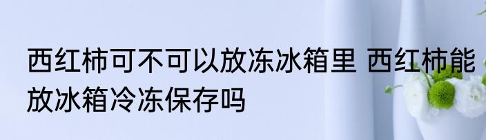 西红柿可不可以放冻冰箱里 西红柿能放冰箱冷冻保存吗