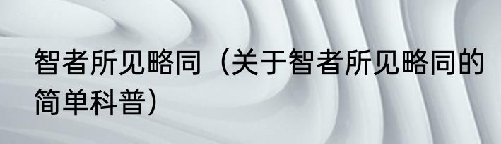 智者所见略同（关于智者所见略同的简单科普）