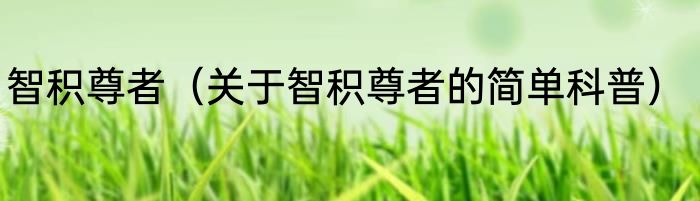 智积尊者（关于智积尊者的简单科普）