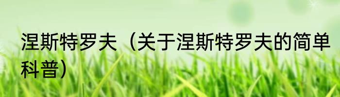涅斯特罗夫（关于涅斯特罗夫的简单科普）