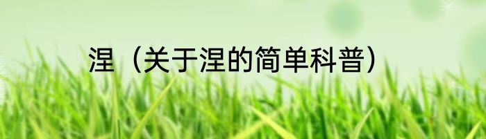 涅（关于涅的简单科普）
