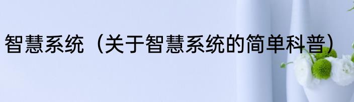 智慧系统（关于智慧系统的简单科普）