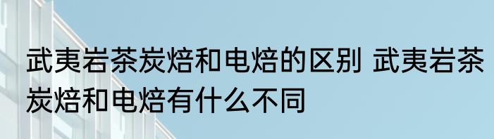 武夷岩茶炭焙和电焙的区别 武夷岩茶炭焙和电焙有什么不同