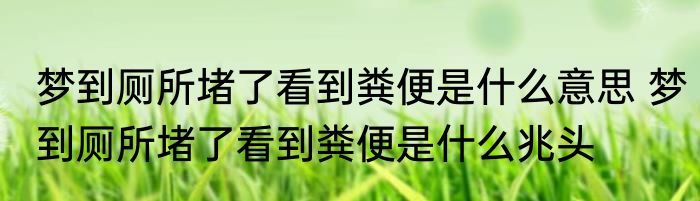 梦到厕所堵了看到粪便是什么意思 梦到厕所堵了看到粪便是什么兆头