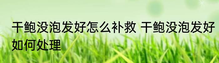 干鲍没泡发好怎么补救 干鲍没泡发好如何处理