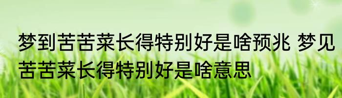 梦到苦苦菜长得特别好是啥预兆 梦见苦苦菜长得特别好是啥意思