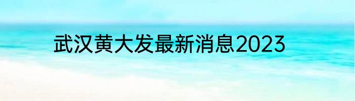 武汉黄大发最新消息2023