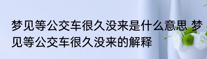 梦见等公交车很久没来是什么意思 梦见等公交车很久没来的解释