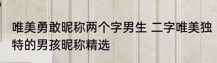 唯美勇敢昵称两个字男生 二字唯美独特的男孩昵称精选