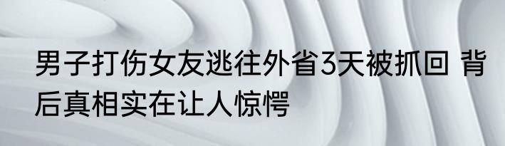 男子打伤女友逃往外省3天被抓回 背后真相实在让人惊愕