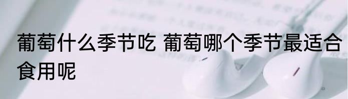 葡萄什么季节吃 葡萄哪个季节最适合食用呢