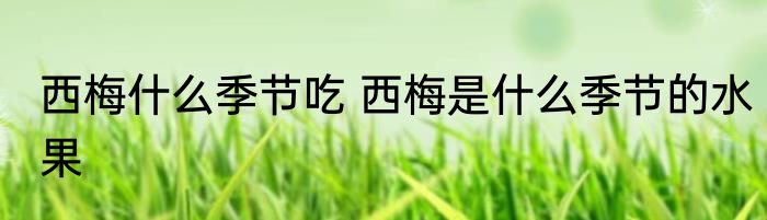 西梅什么季节吃 西梅是什么季节的水果
