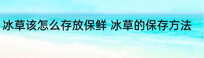 冰草该怎么存放保鲜 冰草的保存方法