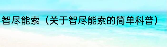 智尽能索（关于智尽能索的简单科普）