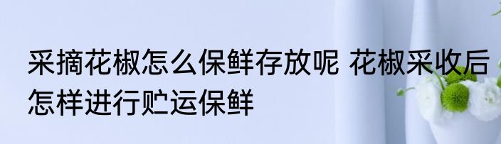 采摘花椒怎么保鲜存放呢 花椒采收后怎样进行贮运保鲜