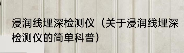 浸润线埋深检测仪（关于浸润线埋深检测仪的简单科普）
