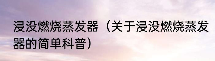 浸没燃烧蒸发器（关于浸没燃烧蒸发器的简单科普）