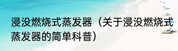 浸没燃烧式蒸发器（关于浸没燃烧式蒸发器的简单科普）