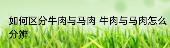 如何区分牛肉与马肉 牛肉与马肉怎么分辨