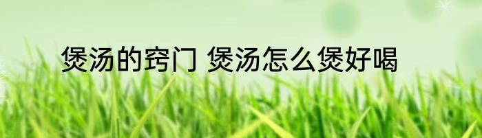 煲汤的窍门 煲汤怎么煲好喝