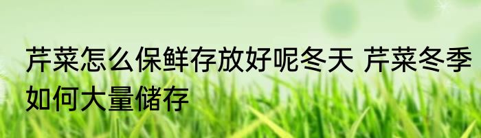 芹菜怎么保鲜存放好呢冬天 芹菜冬季如何大量储存