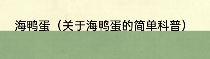 海鸭蛋（关于海鸭蛋的简单科普）