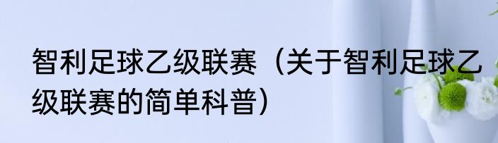 智利足球乙级联赛（关于智利足球乙级联赛的简单科普）