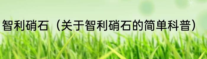 智利硝石（关于智利硝石的简单科普）