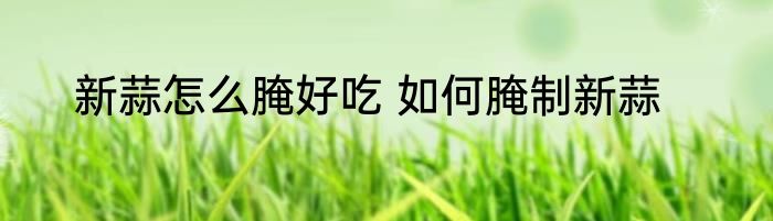 新蒜怎么腌好吃 如何腌制新蒜