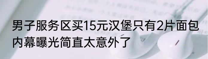男子服务区买15元汉堡只有2片面包 内幕曝光简直太意外了