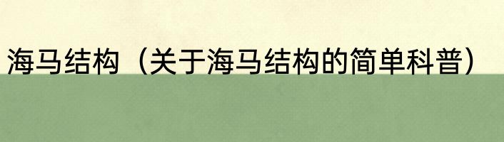 海马结构（关于海马结构的简单科普）