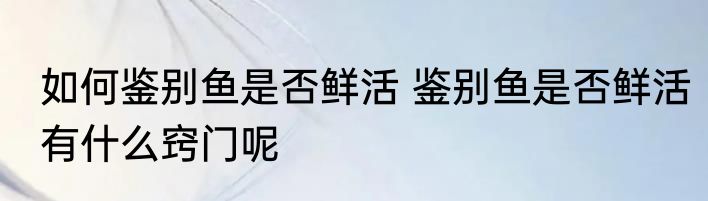 如何鉴别鱼是否鲜活 鉴别鱼是否鲜活有什么窍门呢