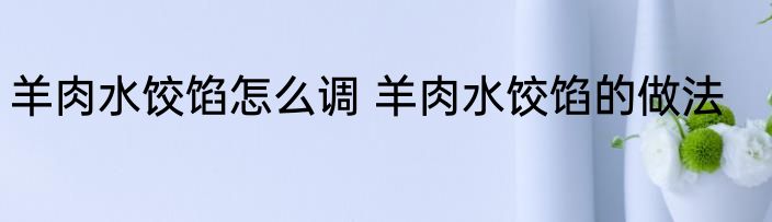 羊肉水饺馅怎么调 羊肉水饺馅的做法