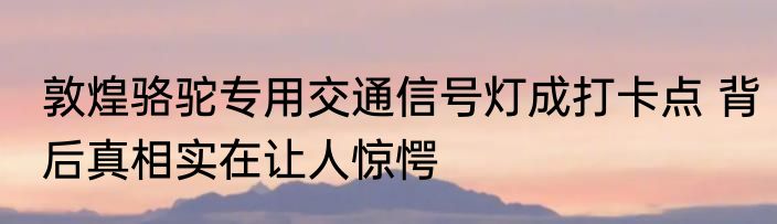 敦煌骆驼专用交通信号灯成打卡点 背后真相实在让人惊愕