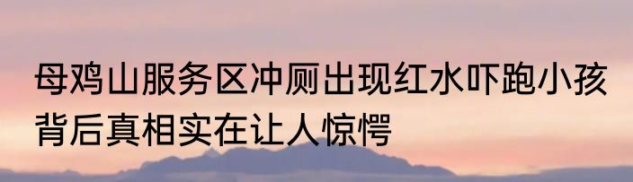 母鸡山服务区冲厕出现红水吓跑小孩 背后真相实在让人惊愕