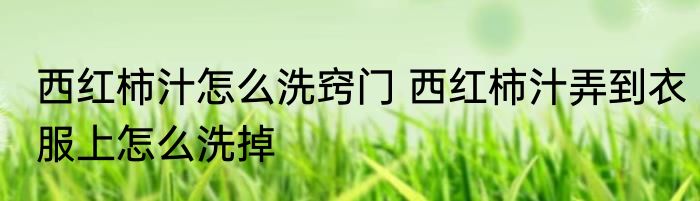 西红柿汁怎么洗窍门 西红柿汁弄到衣服上怎么洗掉