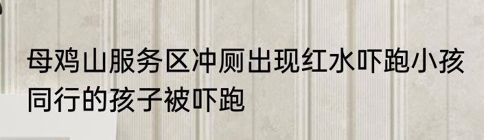 母鸡山服务区冲厕出现红水吓跑小孩 同行的孩子被吓跑