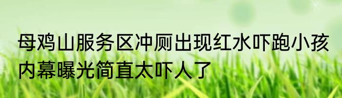 母鸡山服务区冲厕出现红水吓跑小孩 内幕曝光简直太吓人了