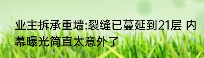 业主拆承重墙:裂缝已蔓延到21层 内幕曝光简直太意外了