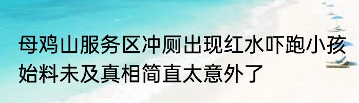母鸡山服务区冲厕出现红水吓跑小孩 始料未及真相简直太意外了