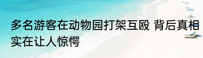 多名游客在动物园打架互殴 背后真相实在让人惊愕