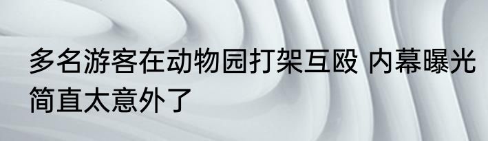多名游客在动物园打架互殴 内幕曝光简直太意外了