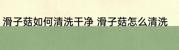 滑子菇如何清洗干净 滑子菇怎么清洗